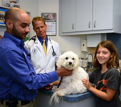 Winter park vet - How to save on vet bills in Winter Park, FL Get pet insurance. Pet insurance is a great tool to save on vet bills. Most plans are significantly cheaper than human health insurance, and reimburse 80%, 90%, or even 100% of your vet bill after the deductible is met.. Try Pawlicy Advisor's pet insurance comparison tool to instantly analyze your pet and find the best …